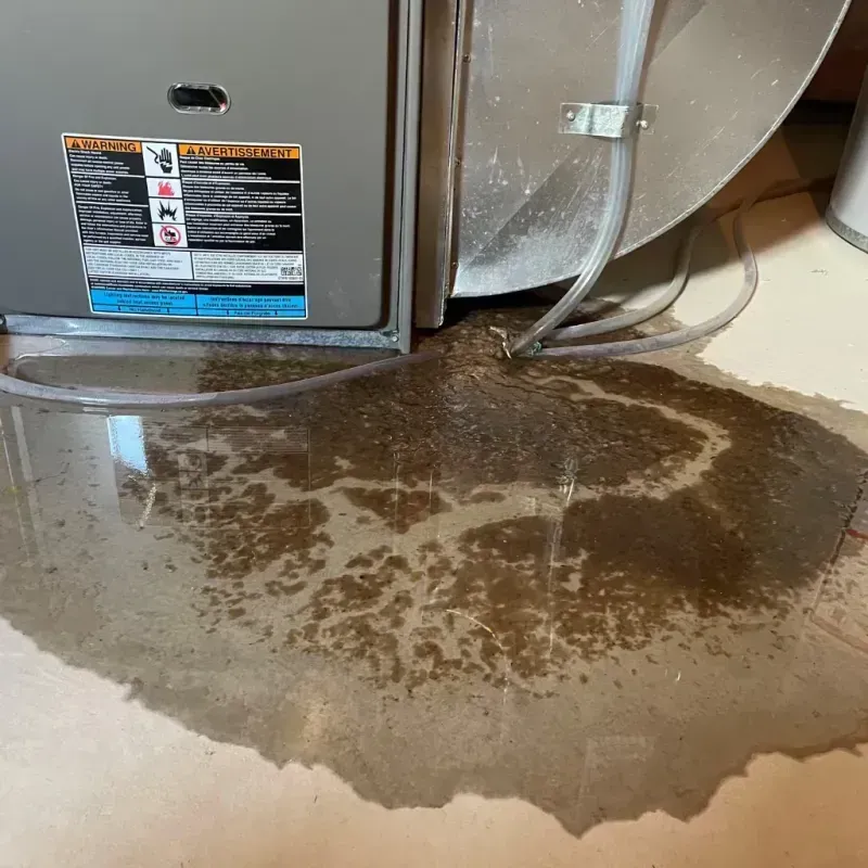 Appliance Leak Cleanup in Grant County, AR